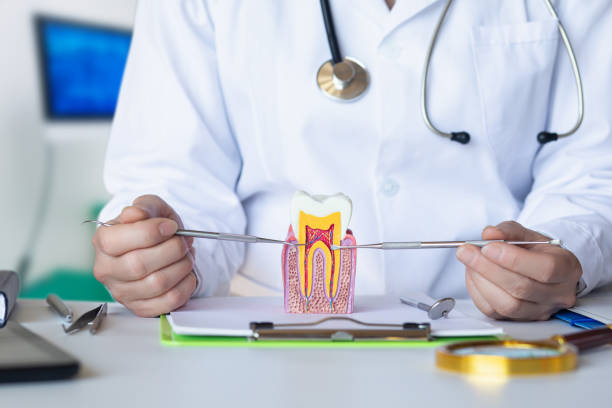 , ND Emergency Dental Service Company